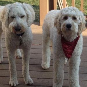 Meet your Posher, Kay